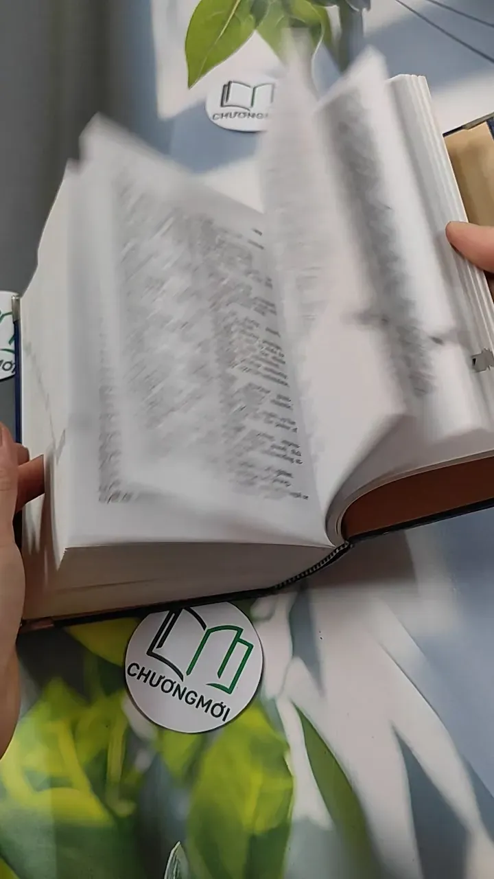 Từ Điển Việt - Anh 749584