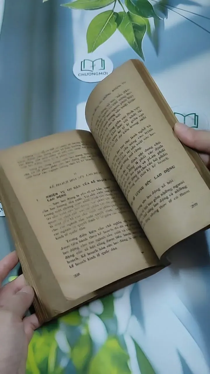 Kế Hoạch Hóa Kinh Tế Quốc Dân - Du Lô Giang 713884