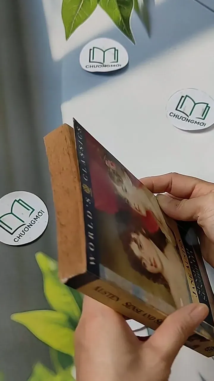 Sense and Sensibility - Jane Austen 703084