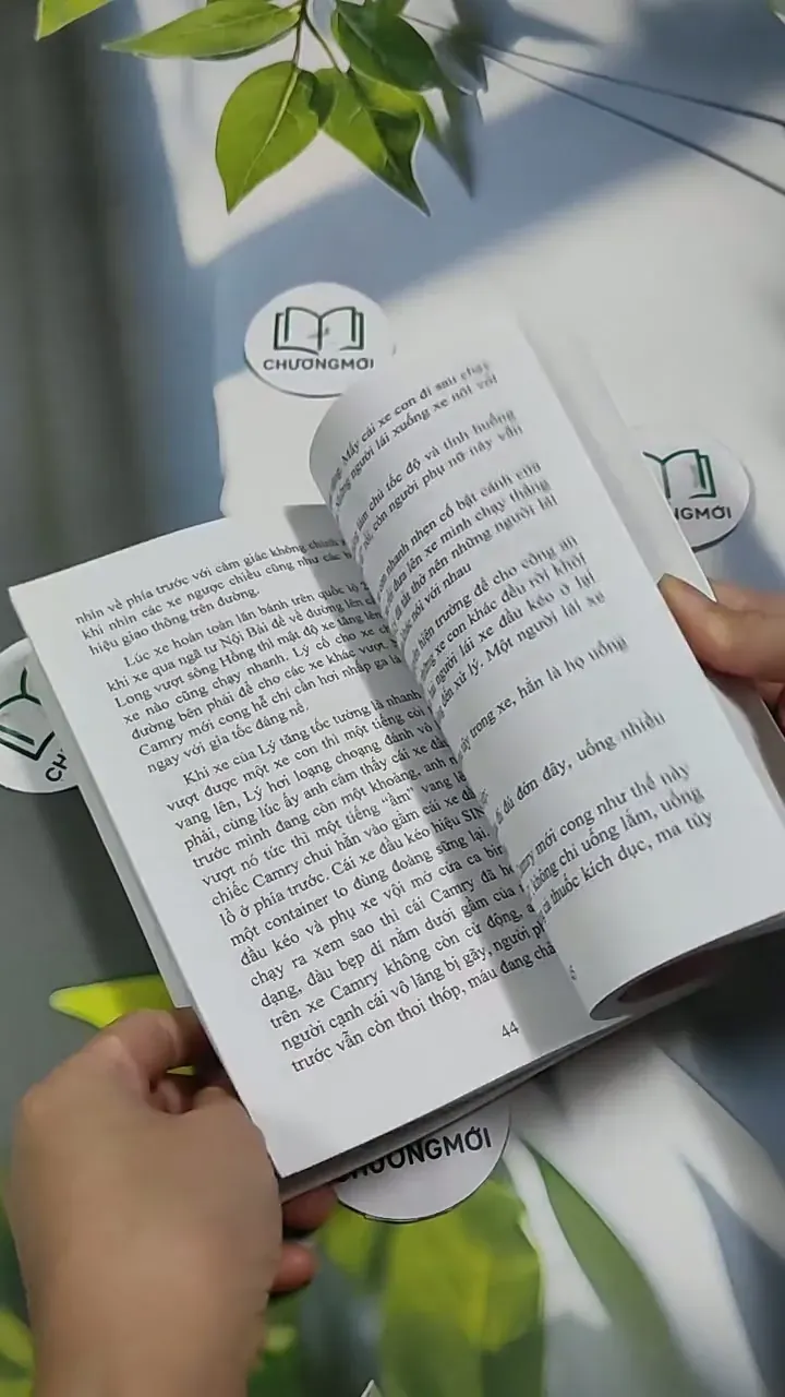 Vua Mèo - Đỗ Tuyết 707332