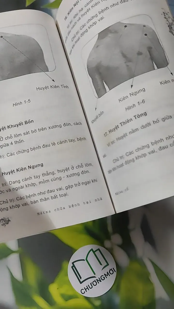 Mát Xa Chữa Bệnh Tại Nhà: Mát Xa Cổ - Thuý Hà 780914