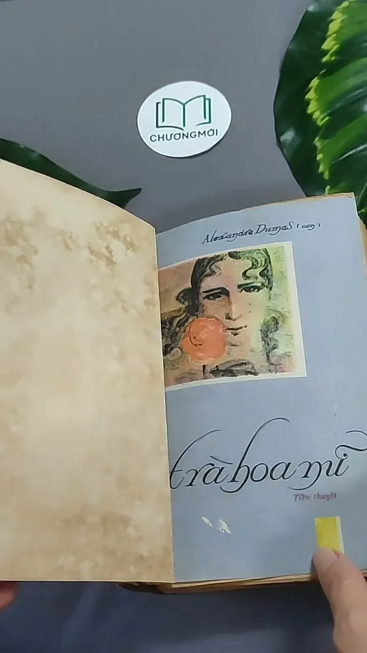 Trà Hoa Nữ 604659