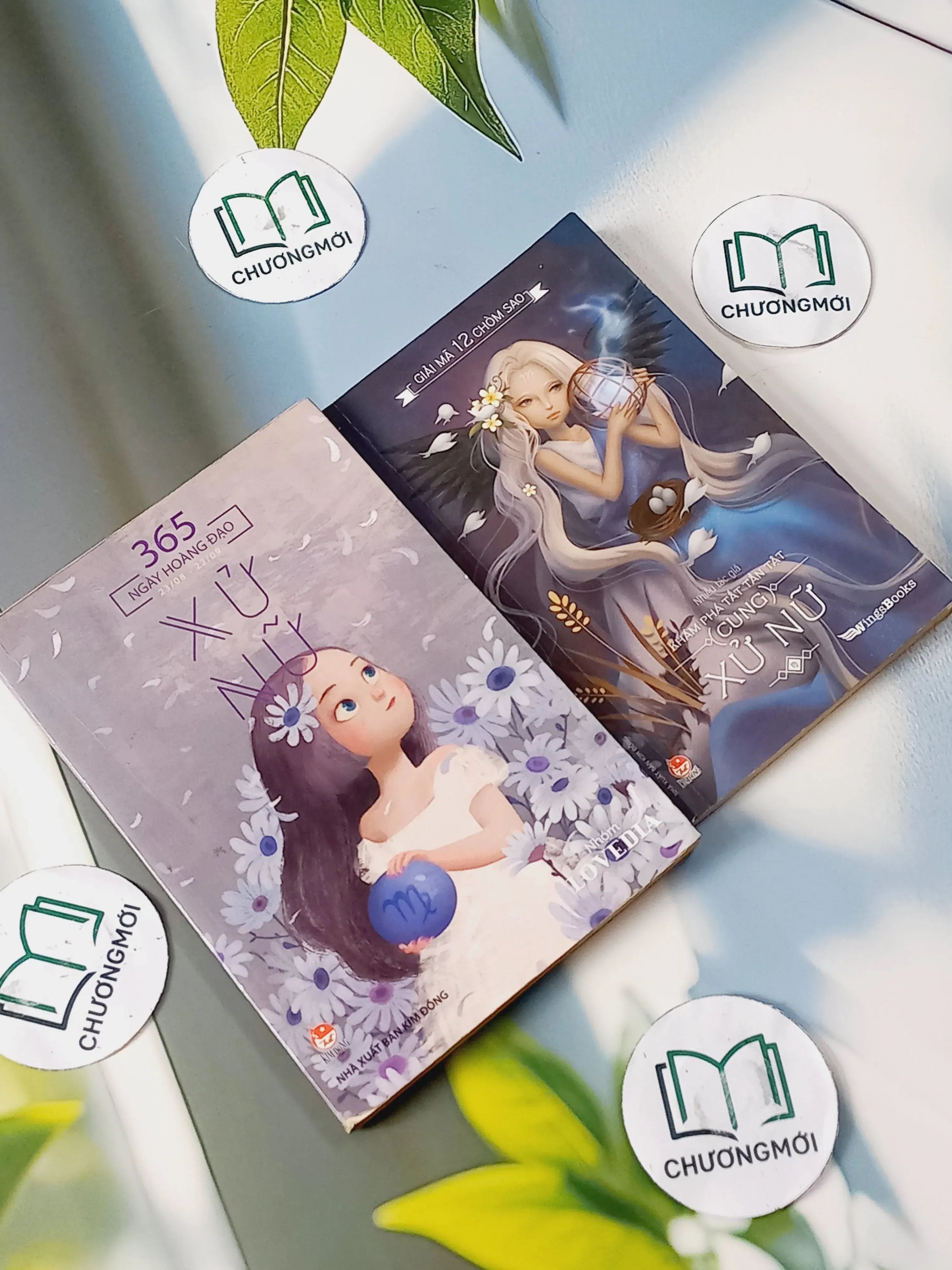 Giải Mã 12 Chòm Sao: Khám Phá Tất Tần Tật Cung Xử Nữ