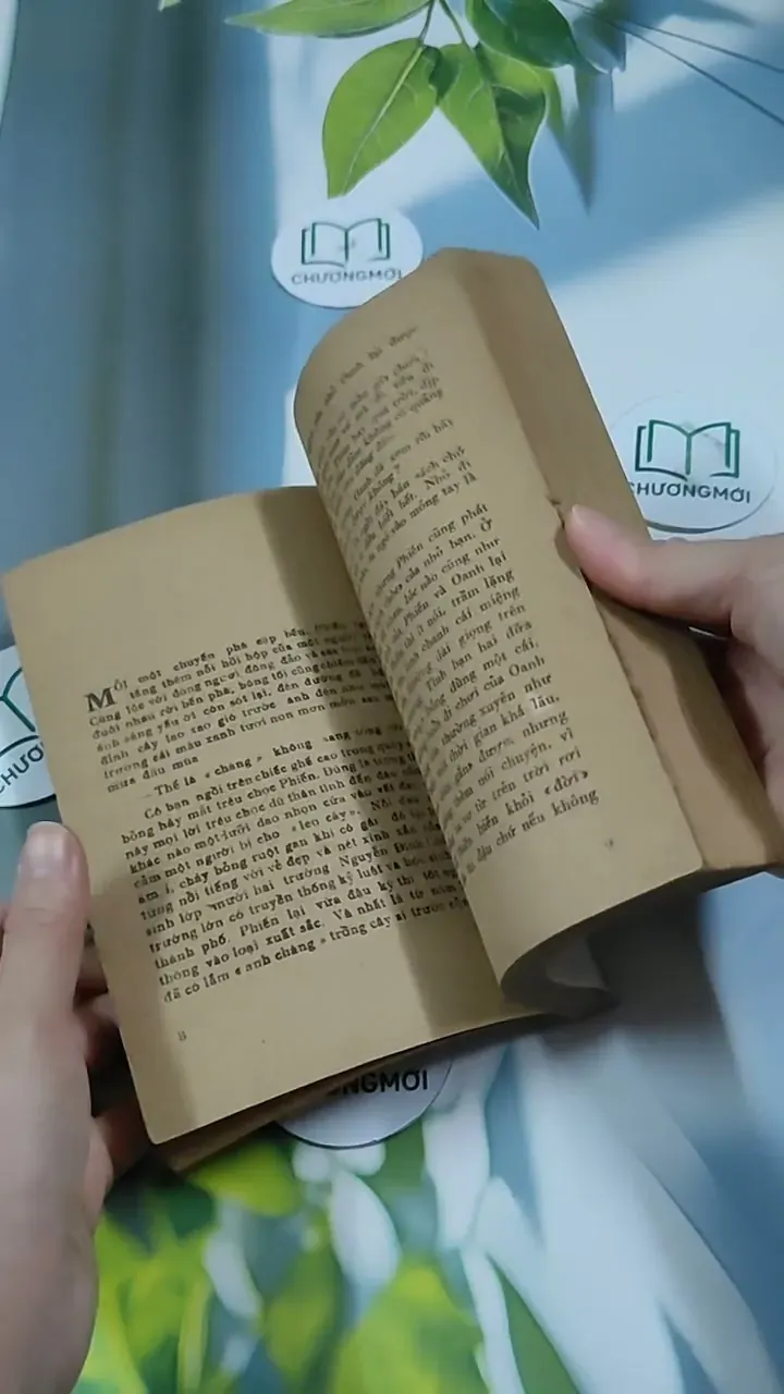 Tình yêu Có Màu Gì - Từ Kế Tường 713864