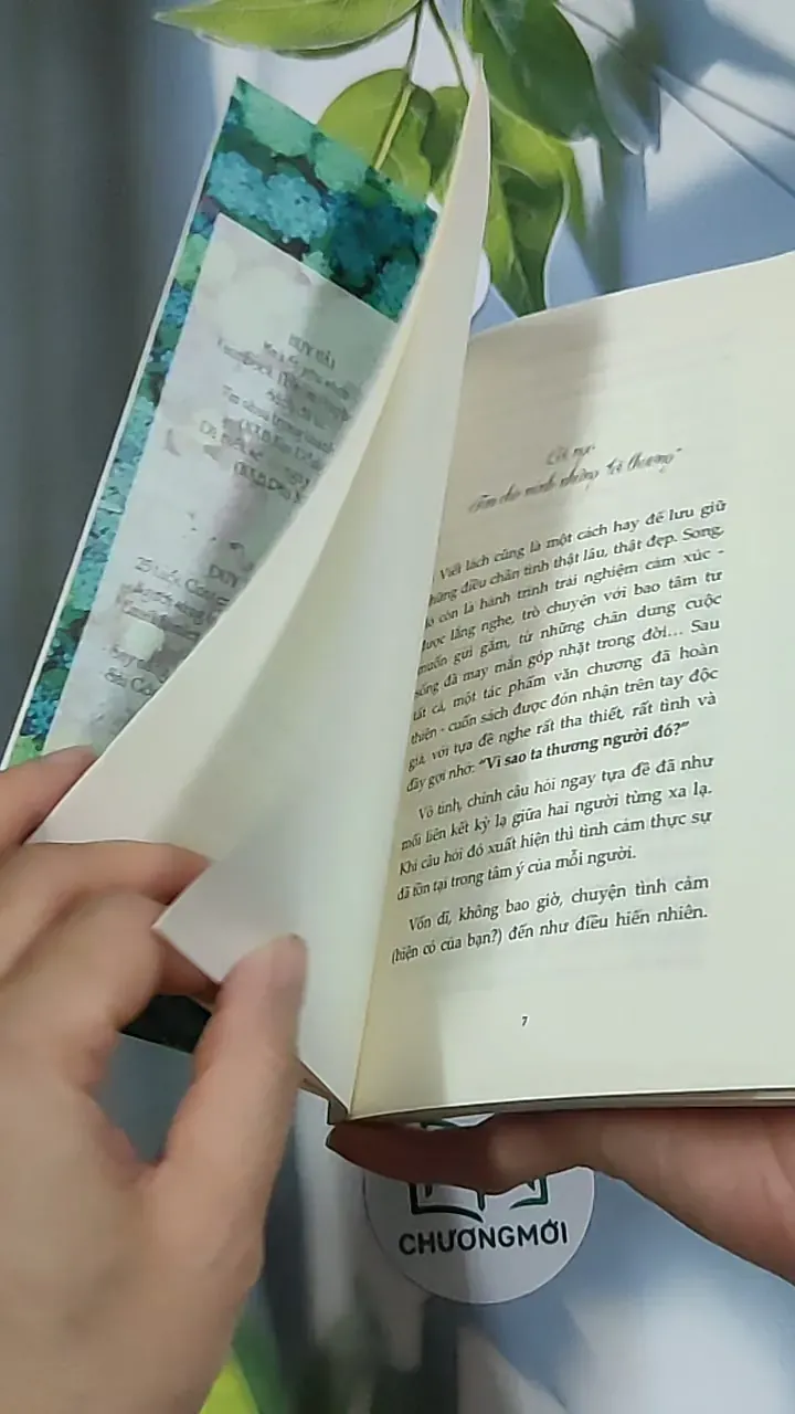 Vì sao ta thương người đó - Huy Hải 688717