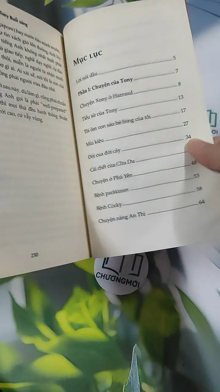 Cà Phê Cùng Tony - Tony Buổi Sáng 787080