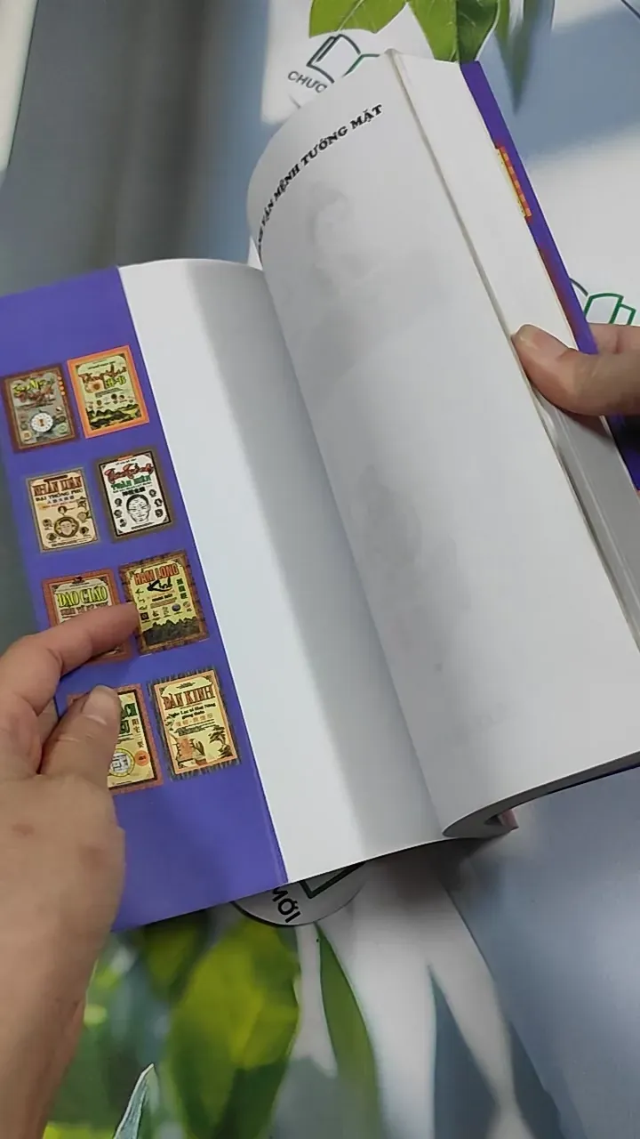 Xem Nhanh Vận Mệnh Tướng Mặt - Từ Liêm 776246