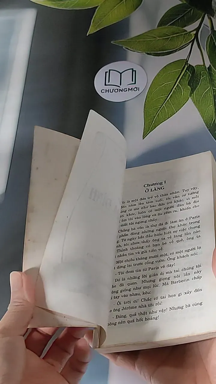 Vô Gia Đình (2001) - Hector Malot 607676