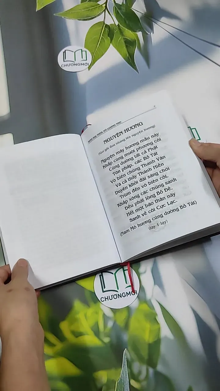 Đại Thừa Vô Lượng Thọ Trang Nghiêm Thanh Tịnh Bình Đẳng Giác Kinh - HT. Thích Đức Niệm 750812