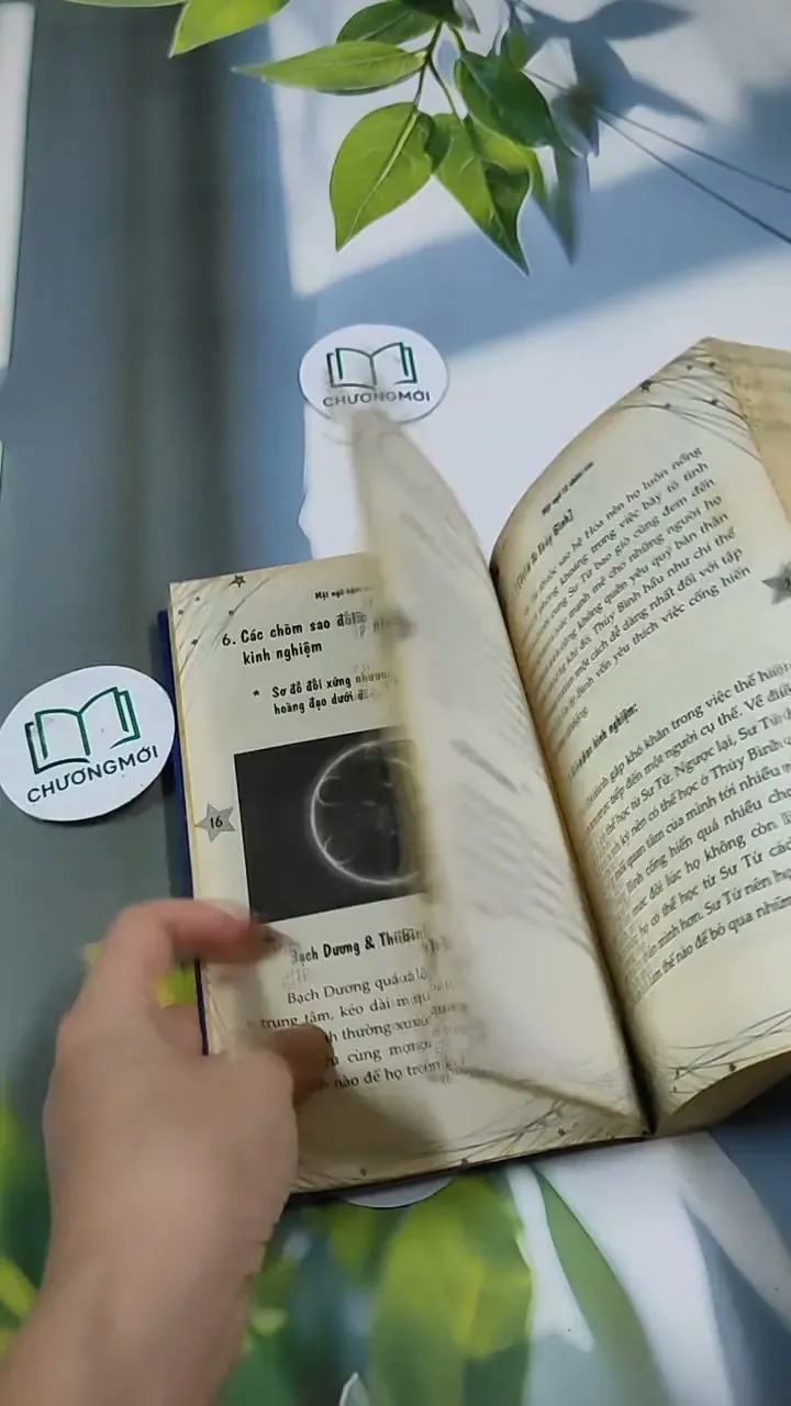 Mặt Ngữ 12 Chòm Sao 705674