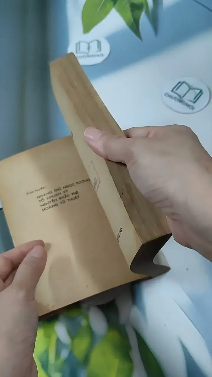 Mười Năm - tập văn chọn lọc 713848