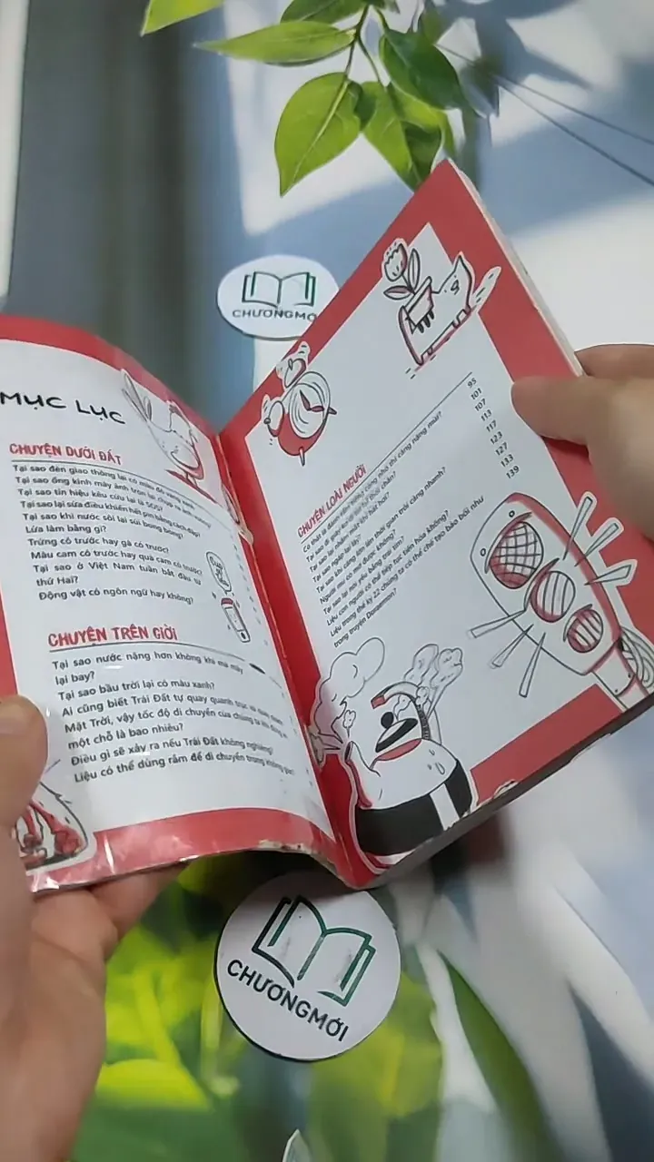 Không Có Câu Hỏi Nào Ngớ Ngẩn 705745