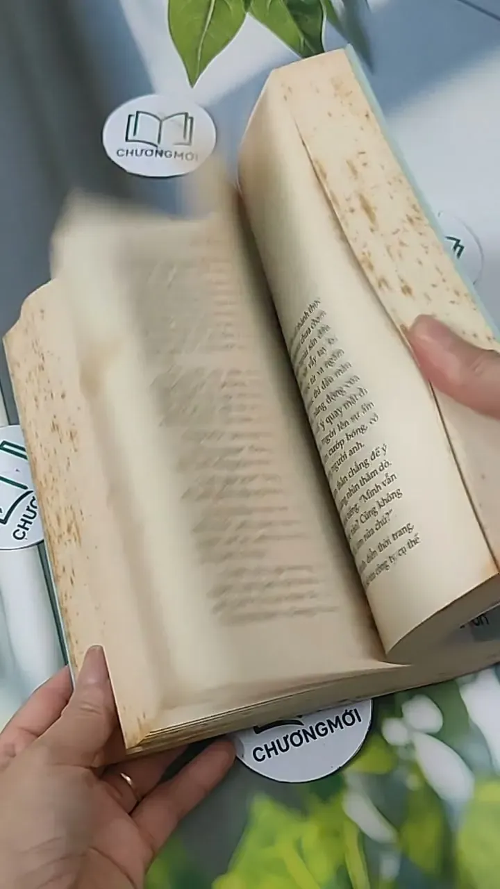 Ai Còn Chờ Ai Giữa Mùa Hoa Nở - Sói Xám Mọc Cánh 705627