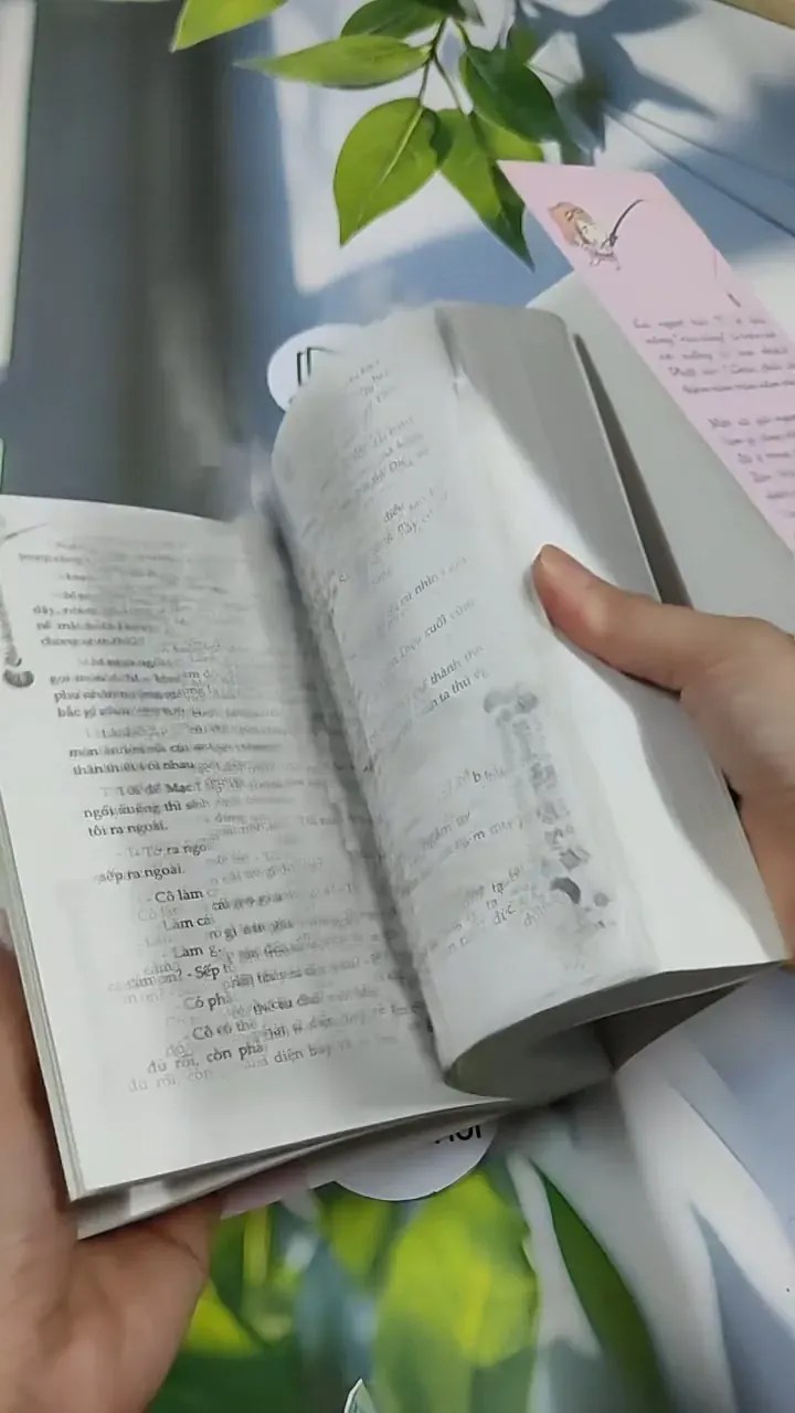 Câu Được Con Rùa Vàng 705689