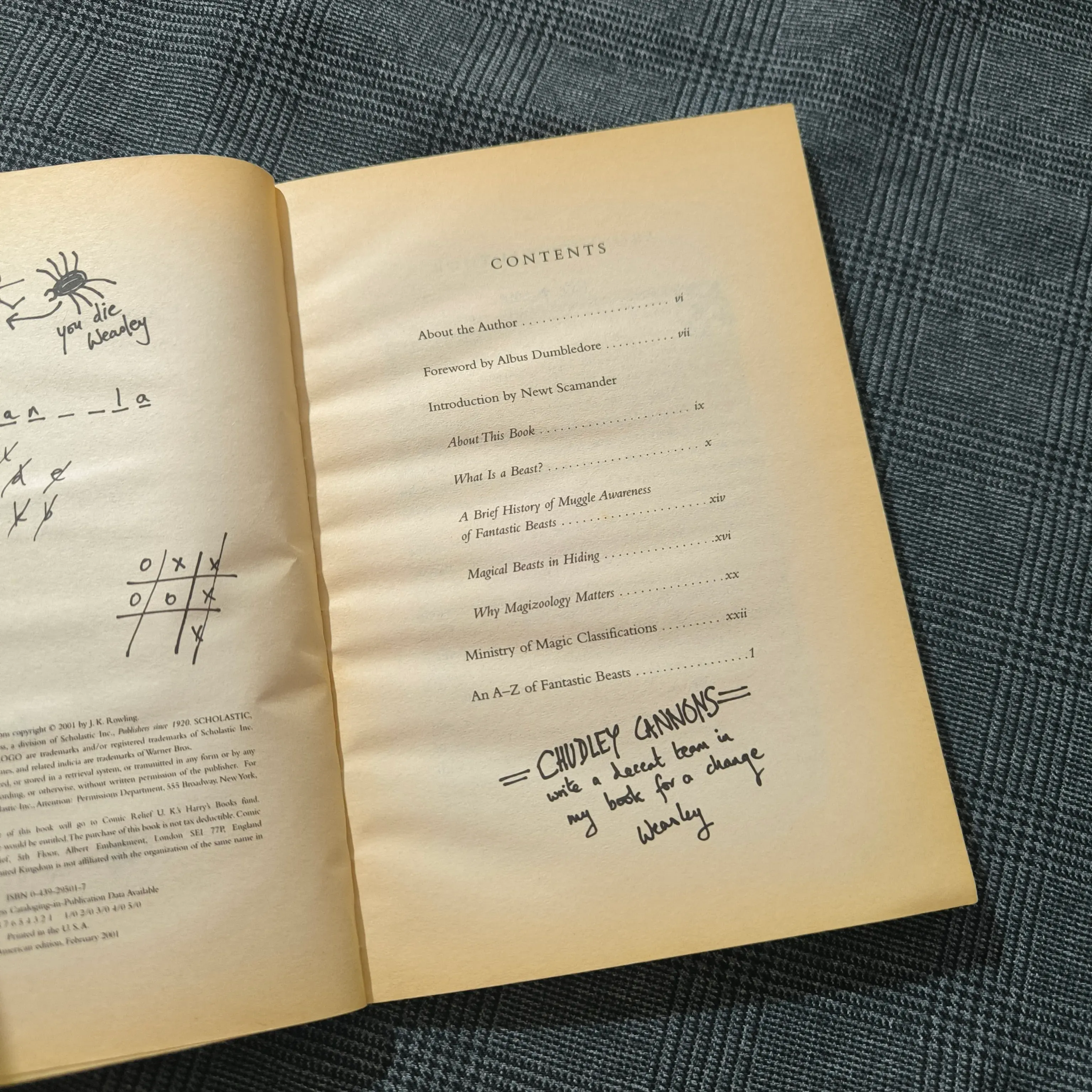 (Harry Potter) Fantastic Beasts & Where to find them - Newt Scamander 1005100