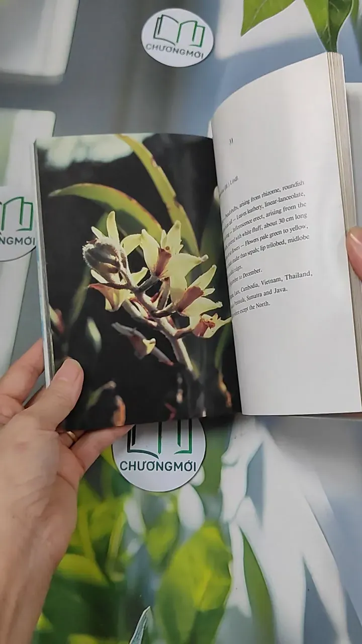 [XƯA] Flowers in Thailand Vol. 12 (1986) - Somsak Sukwong 754504