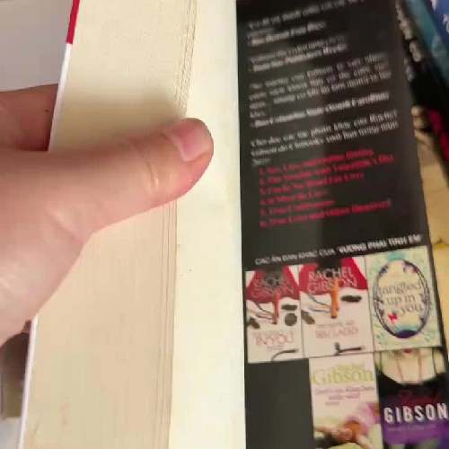 Vướng Phải Tình Em – Rachel Gibson (Tangled Up In You)- K2