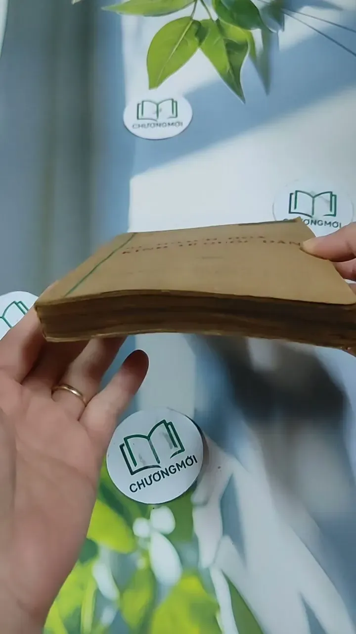 Kế Hoạch Hóa Kinh Tế Quốc Dân - Du Lô Giang 713884