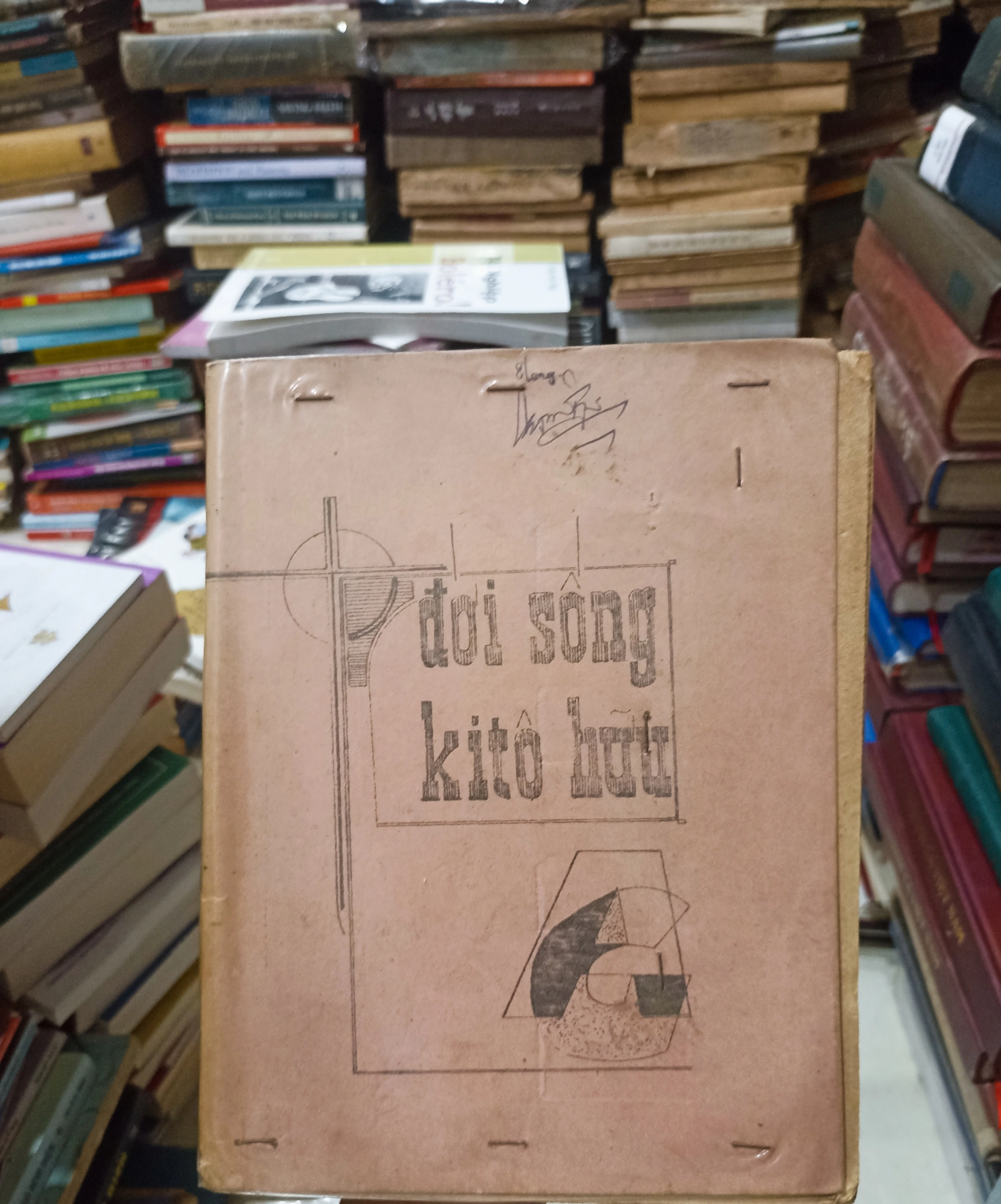 Đời sống Kitô Hữu 🌻