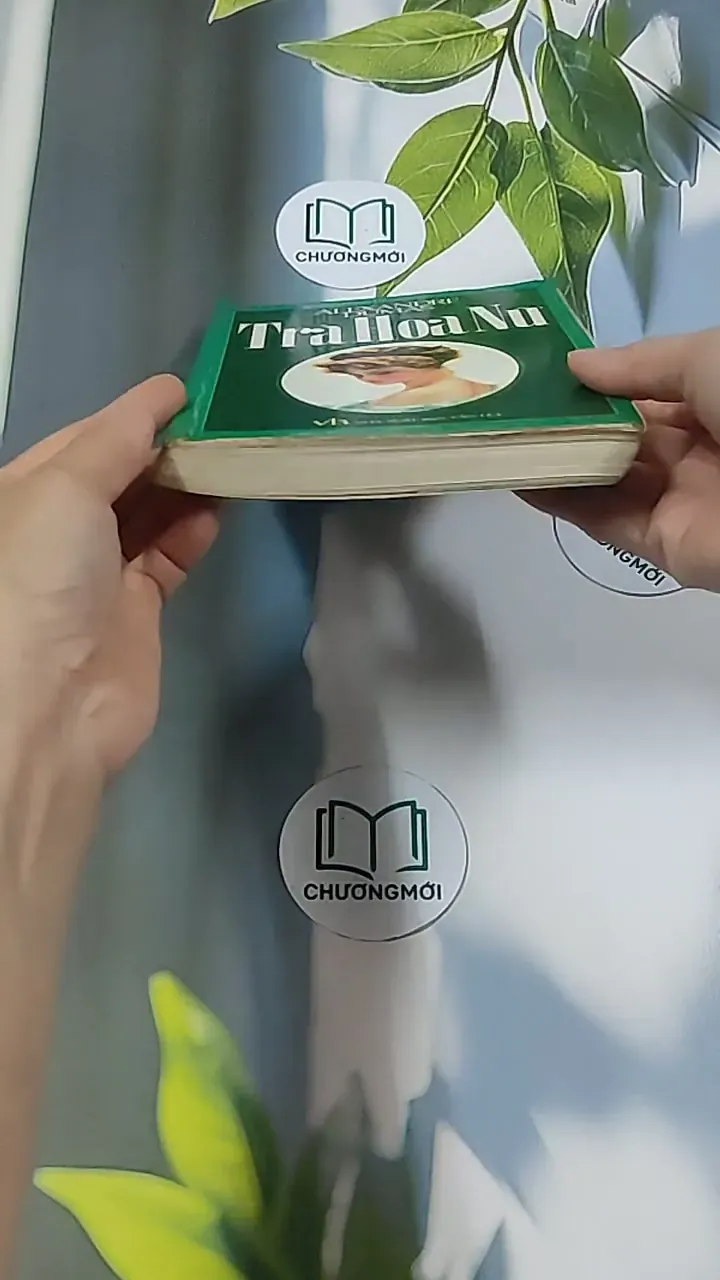 Trà Hoa Nữ 674981