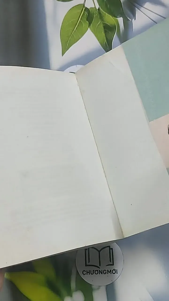 Cô đơn vào đời - Dịch Phấn Hàn 694945