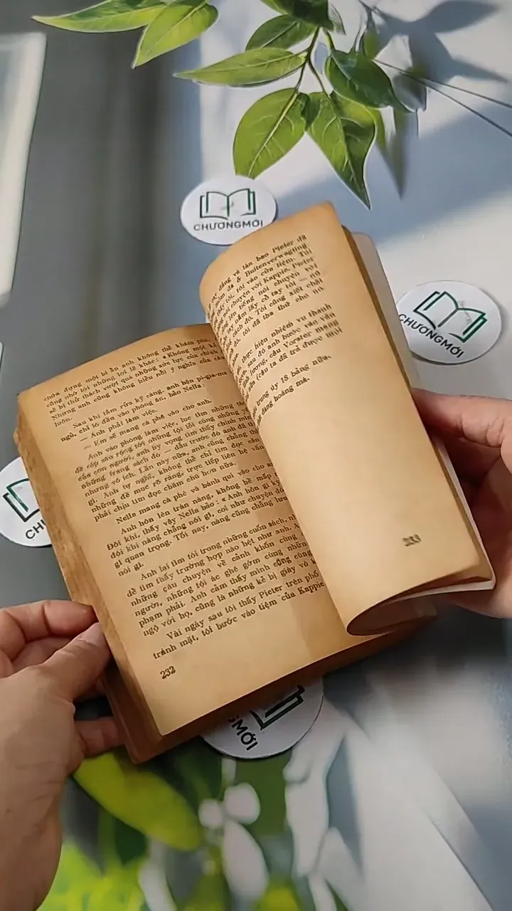 Tuyệt Mù Bóng Chim - Alan Paton 713811