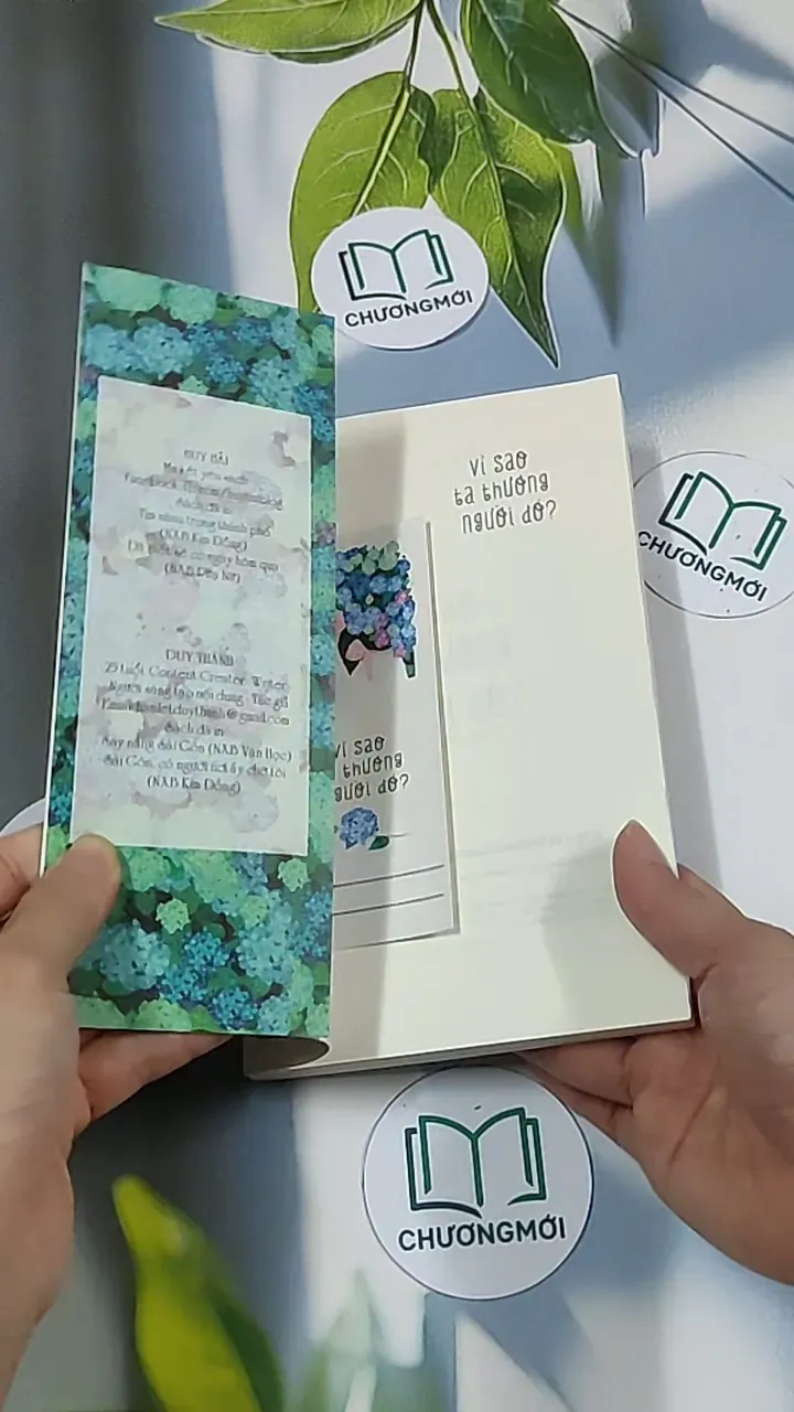 Vì sao ta thương người đó - Huy Hải 688717