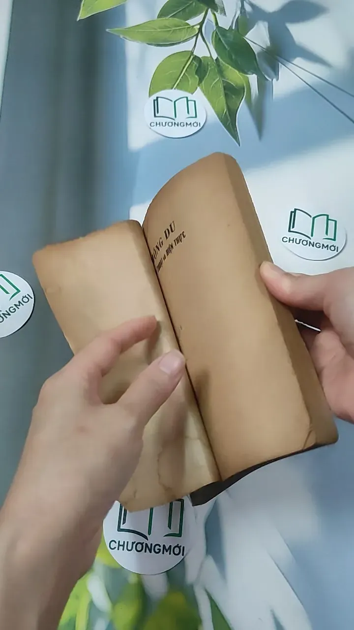 [XƯA] Mộng Du - Huyền Thoại & Hiện Thực (1988) (Mộng Du - Huyền Thoại & Hiện Thực) 776011