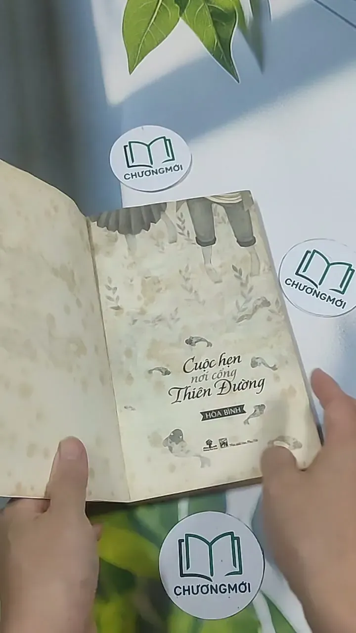 Cuộc hẹn nơi cổng thiên đường - Hòa Bình 694985