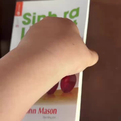 Sinh Ra Là Một Bản Thể – Đừng Chết Như Một Bản Sao Tác giả: John Mason