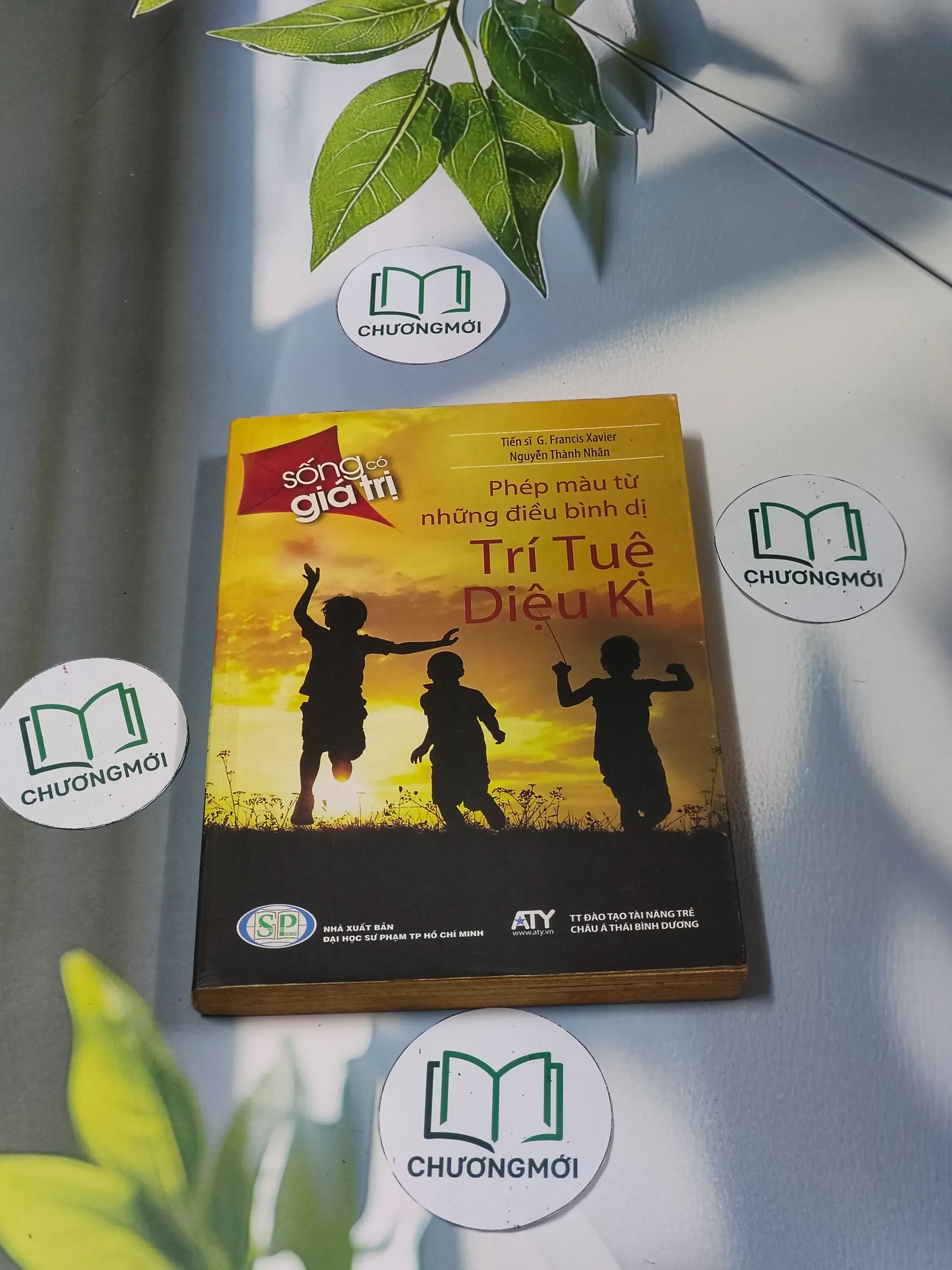Trí tuệ diệu kỳ - G. Francis Xavier