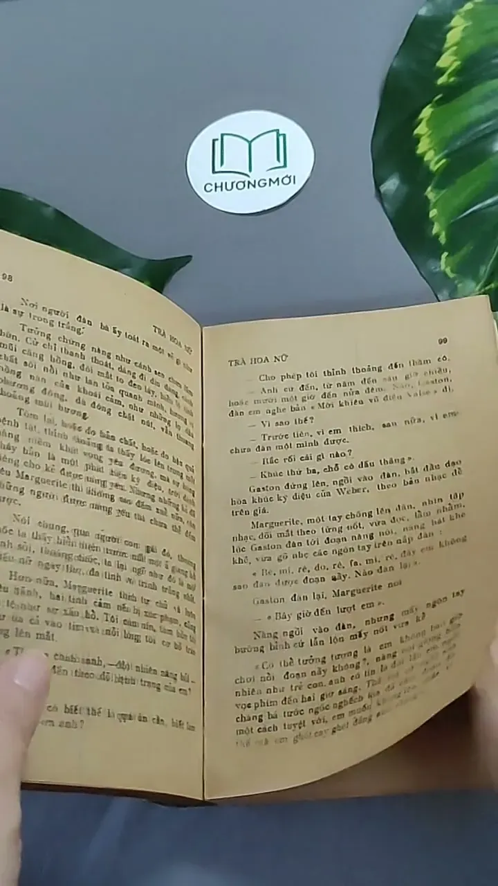 Trà Hoa Nữ 604659