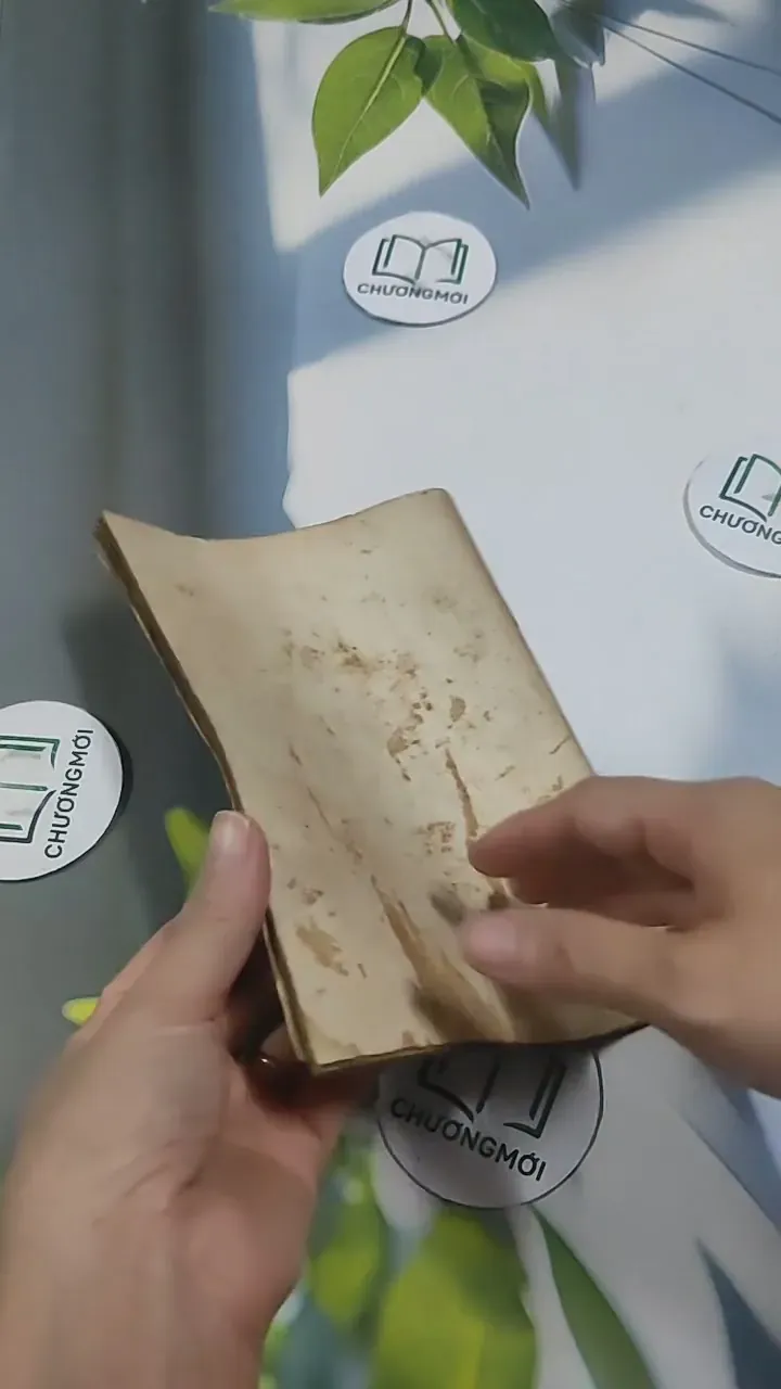 Hàm Tân Chuyện Thuở Đầu - Phan Chính 715685