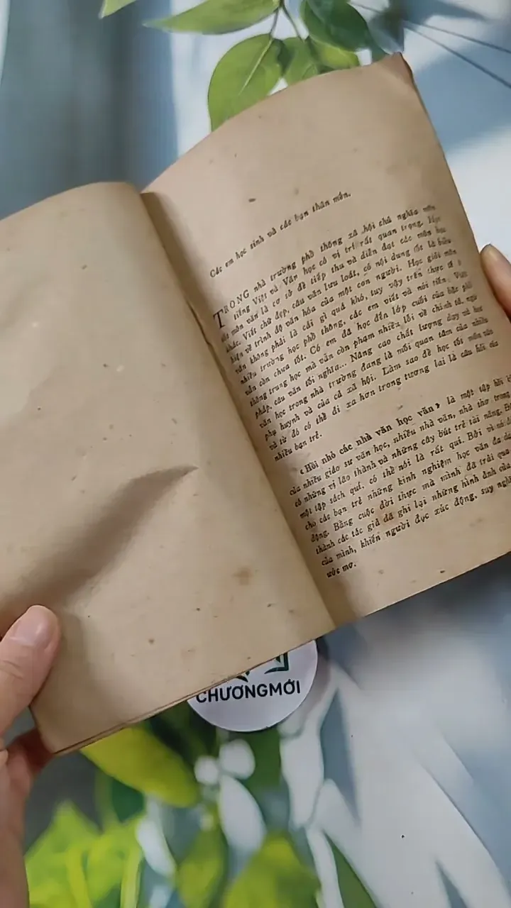 Hồi Nhỏ Các Nhà Văn Học Văn 713828