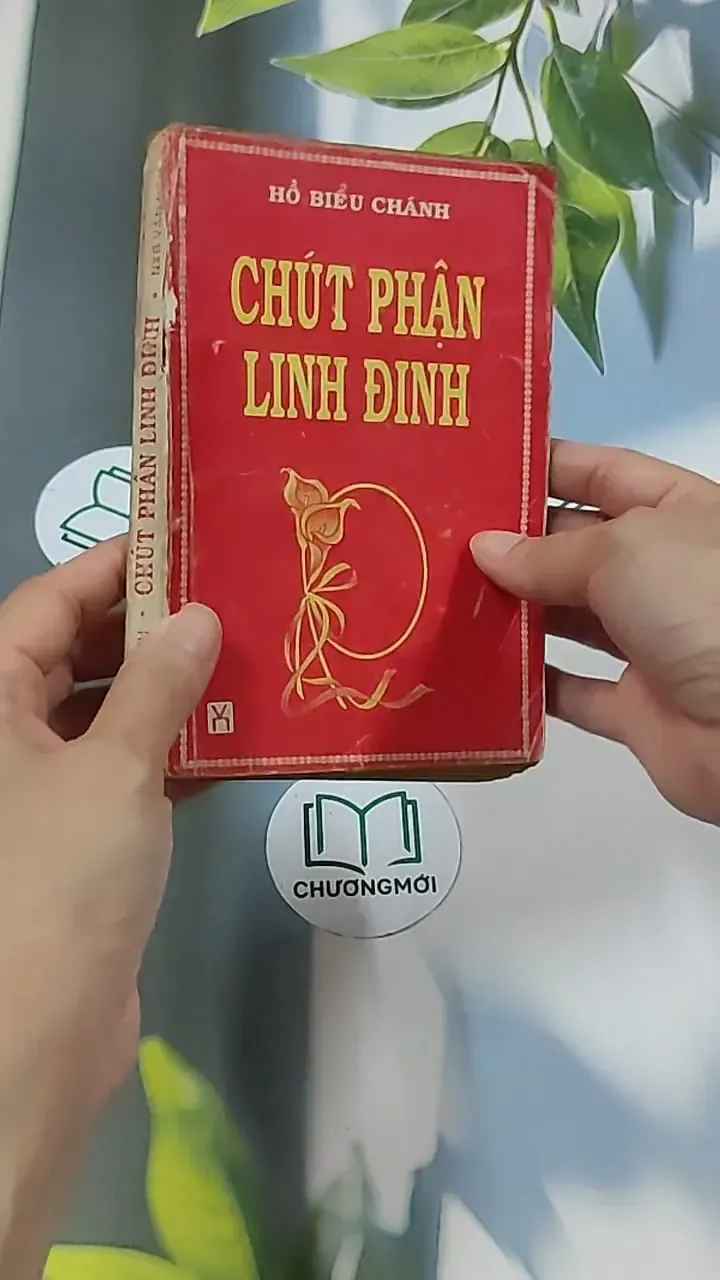 Chút Phận Linh Đinh (1996) - Hồ Biểu Chánh 674979