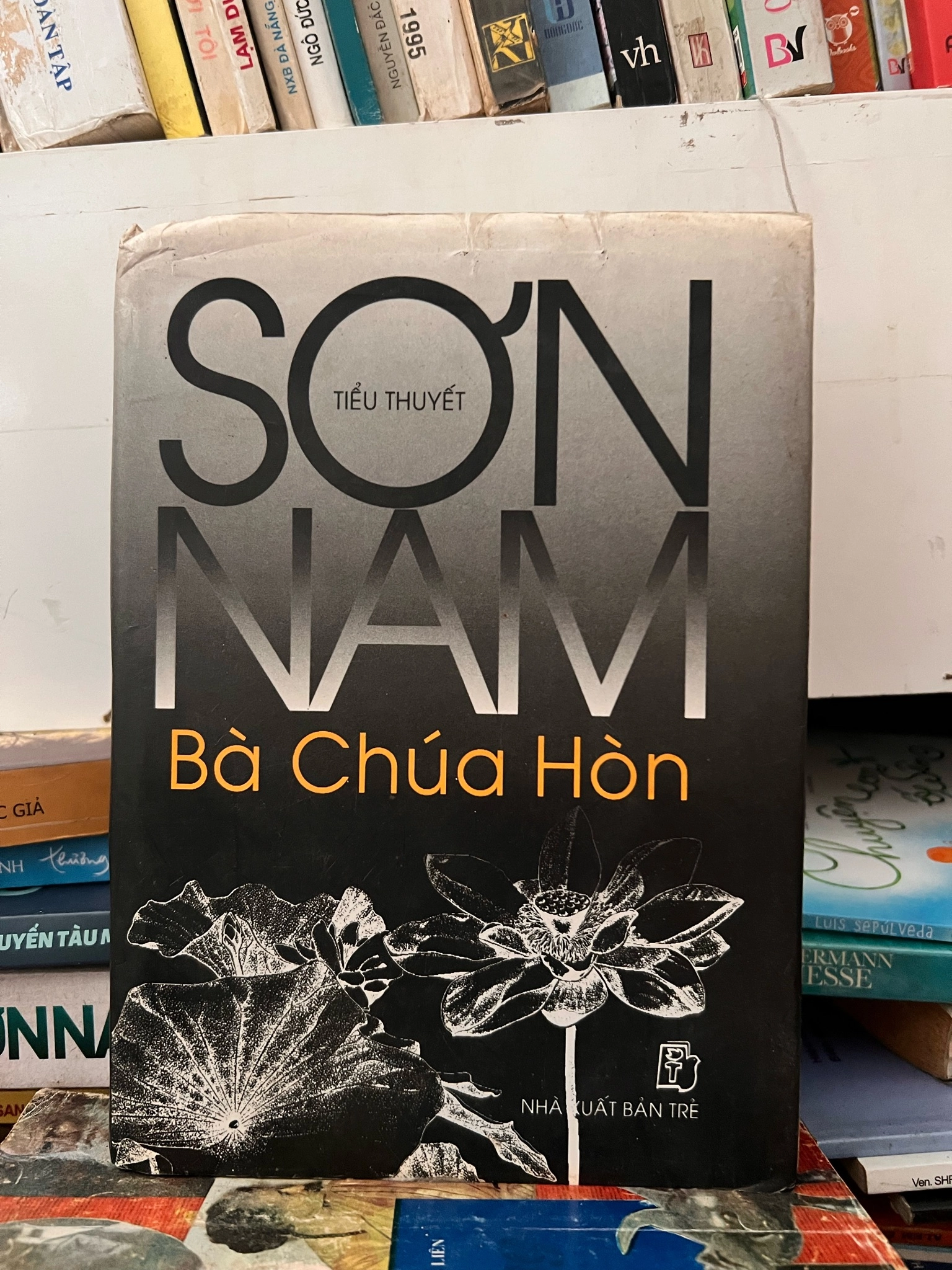Tiểu thuyết sơn nam Nà chúa Hòn by  - Sách Book Cover - Ngọc Hiển Books