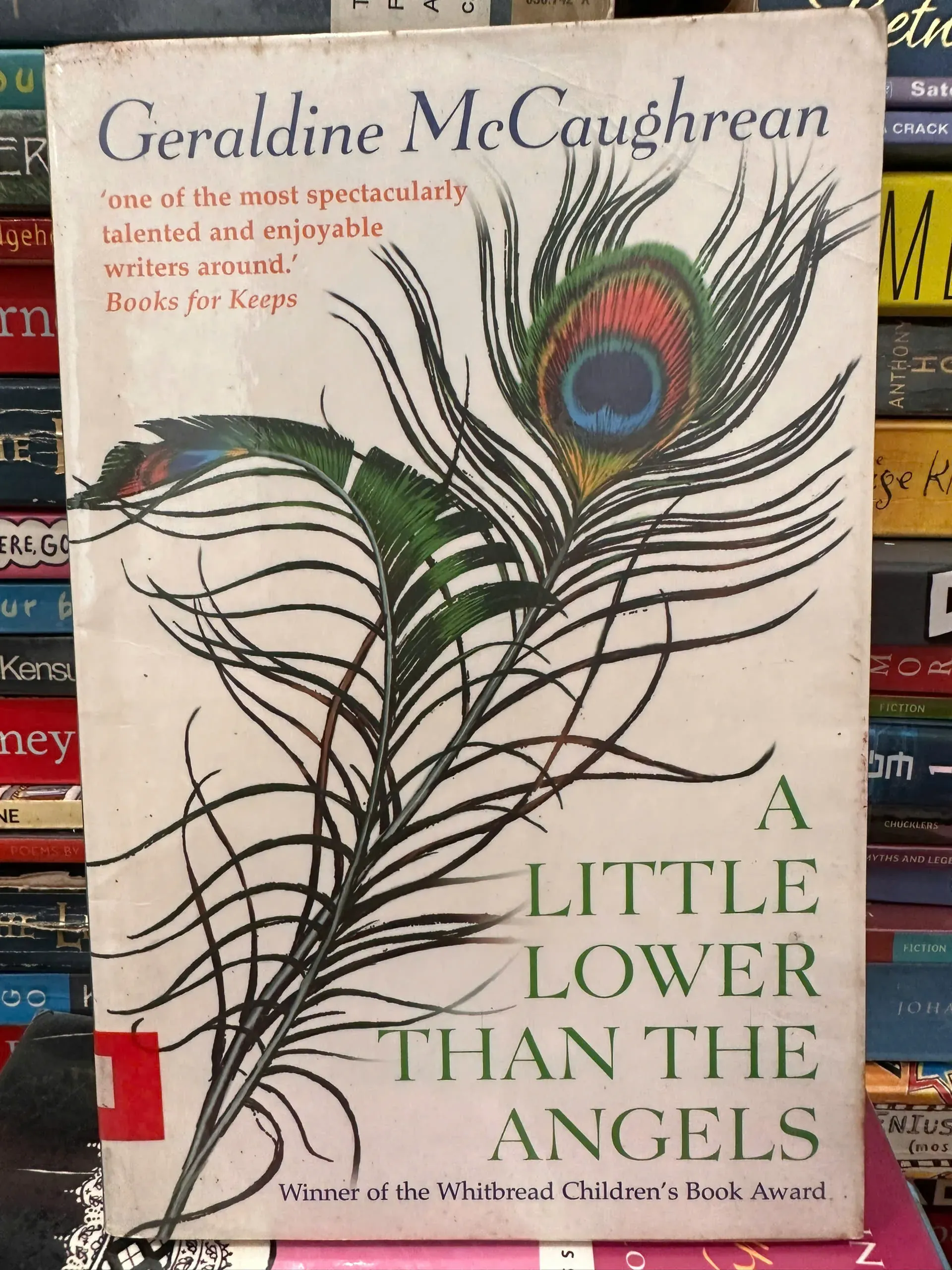 A Little Lower Than the Angels by Geraldine McCaughream by  - Sách Book Cover - Ngọc Hiển Books