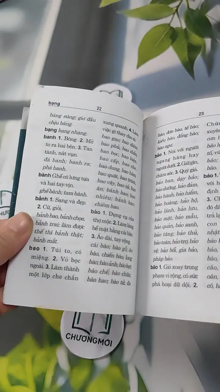 Từ Điển Chính Tả Tiếng Việt 727289