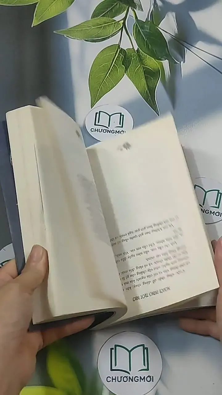 Người dưng trót nhớ - Quỳnh Thy 694933