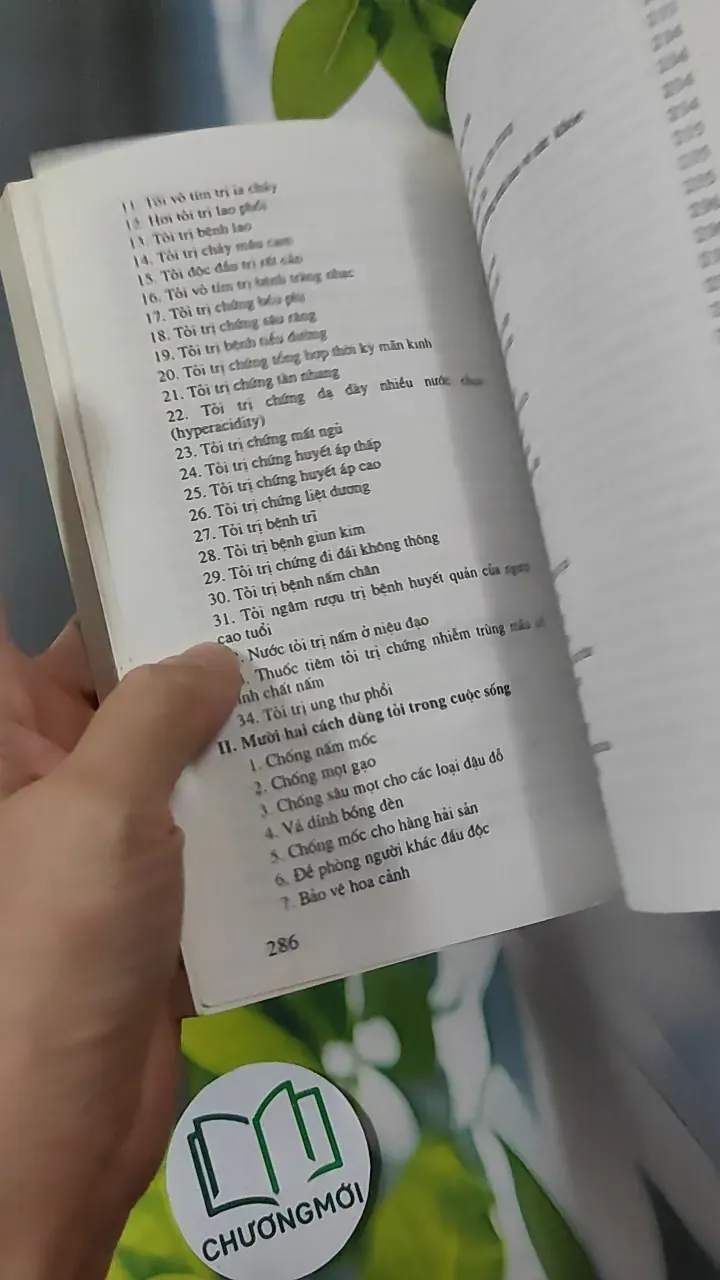 Tỏi Trị Bách Bệnh - Nguyễn Bá Mão 780850