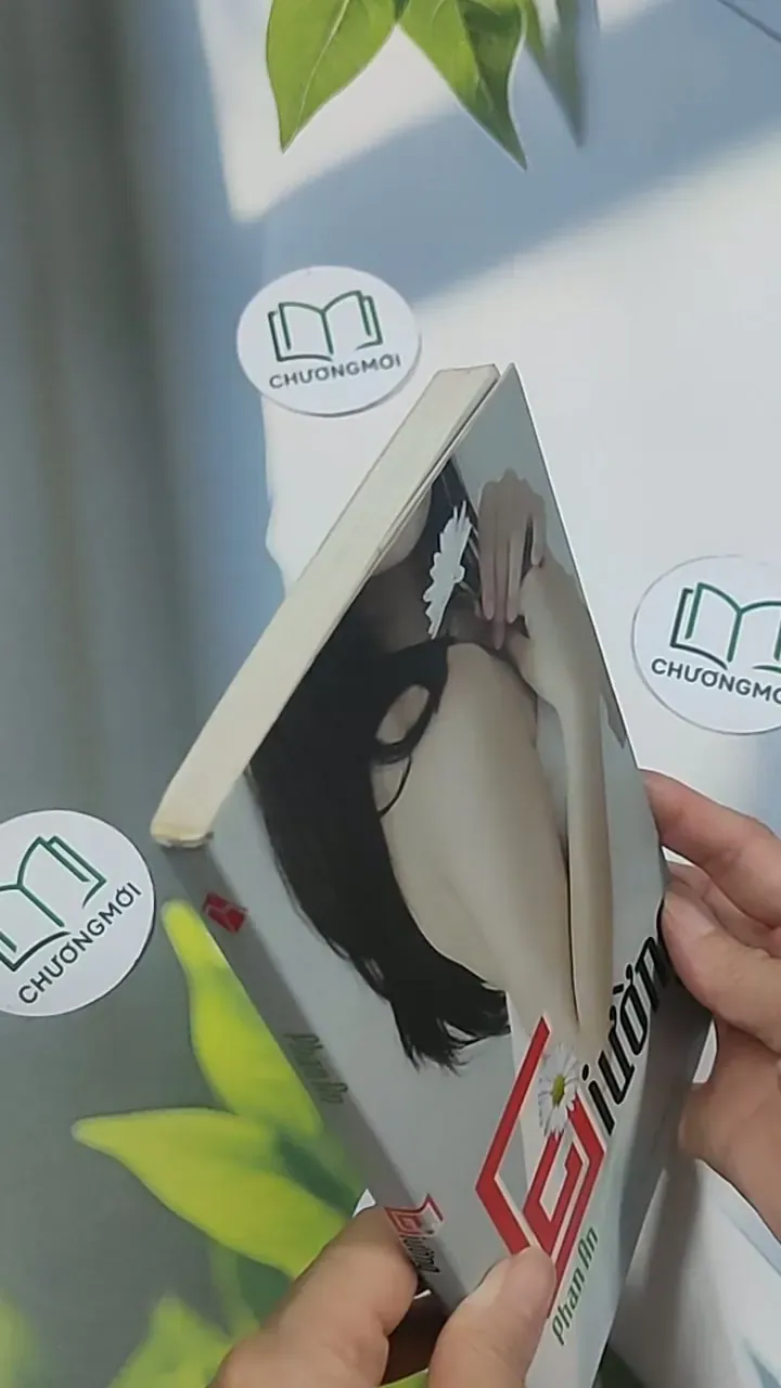 Giường - Phan An 694986