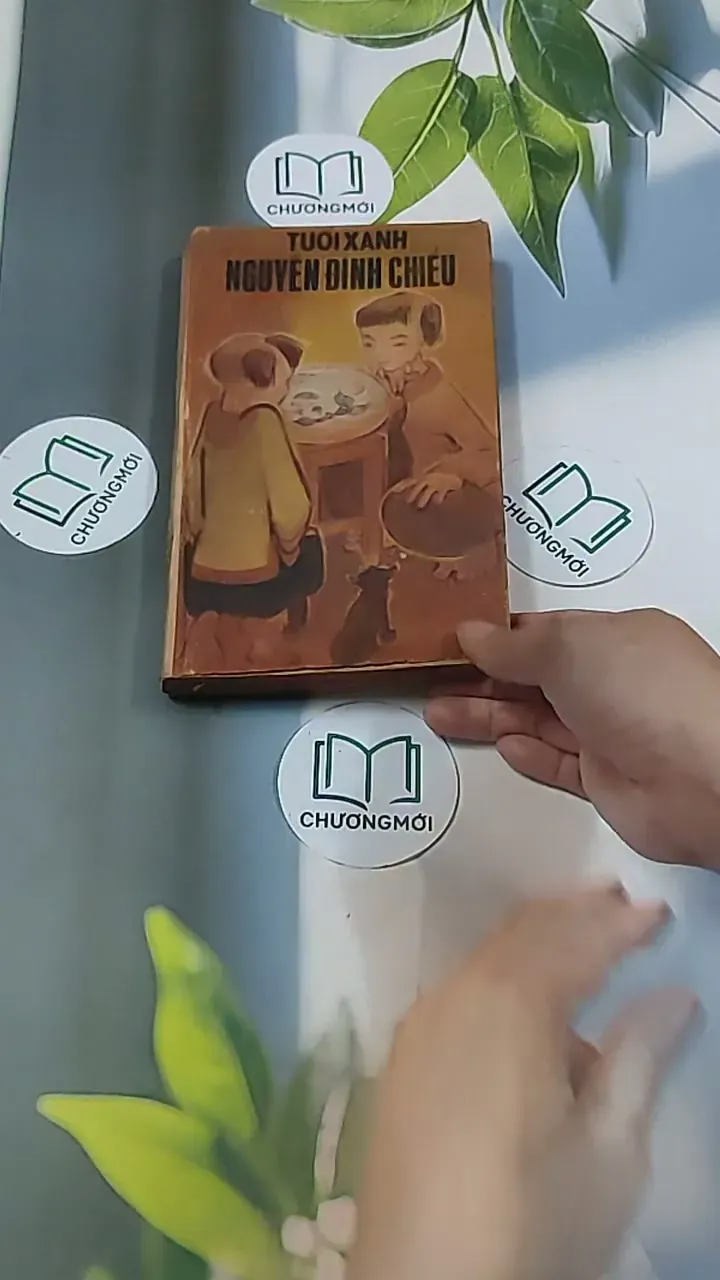 Tuổi Xanh Nguyễn Đình Chiểu (1987) - Thái Vũ 674974