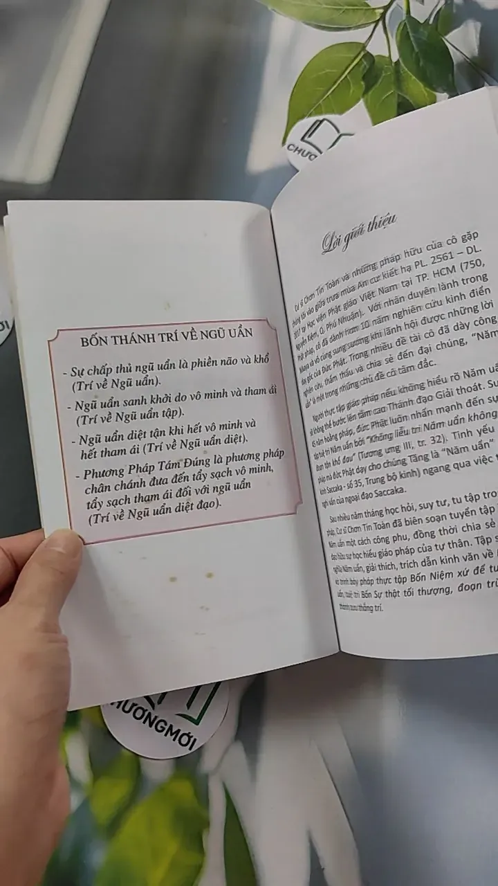 Tóm Tắt Năm Uẩn - Chơn Tín Toàn 776109