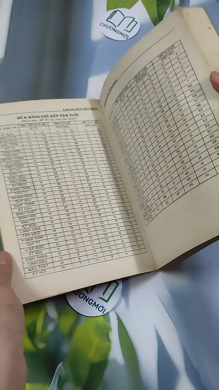 Căn Duyên Tiền Định - Dương Công Hầu 776242