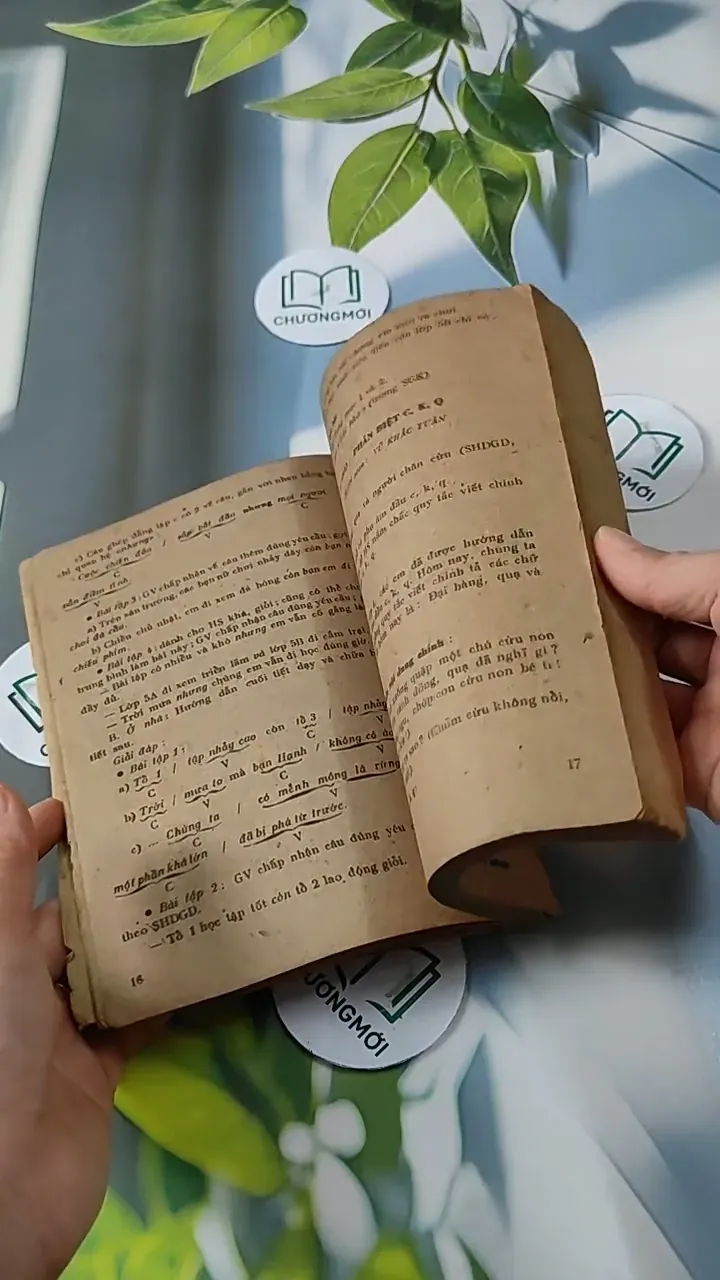 Giảng dạy bộ môn Tiếng Việt và Văn Học lớp 5 cải cách giáo dục (tập 4) - Đặng Mạnh Thường 713804