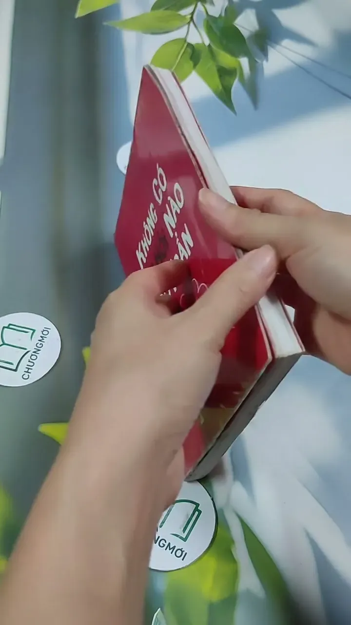 Không Có Câu Hỏi Nào Ngớ Ngẩn 705745