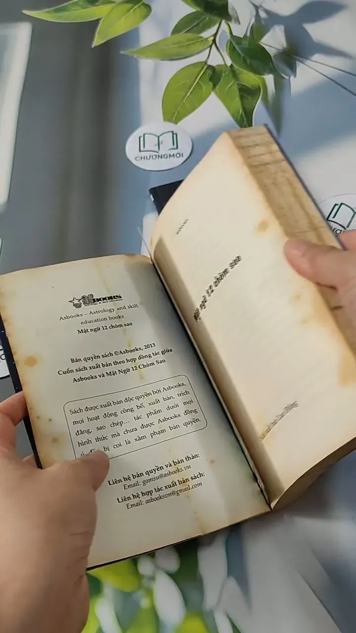 Combo: Khám Phá Tất Tần Tật Cung Thiên Yết 713792