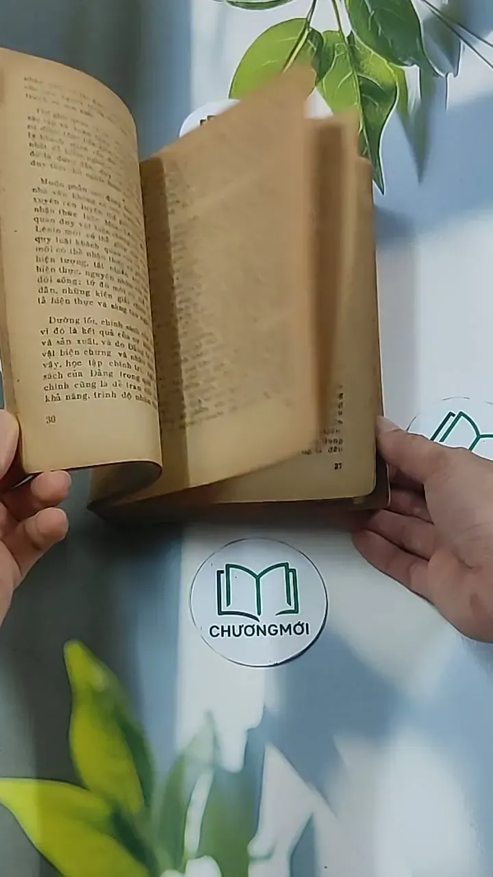 Nhận Thức và Thẩm Định (1983) - Đông Hoài 674969