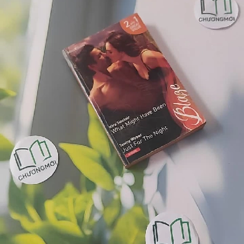 What Might Have Been - Just For The Night - Kira Sinclair & Tawny Weber