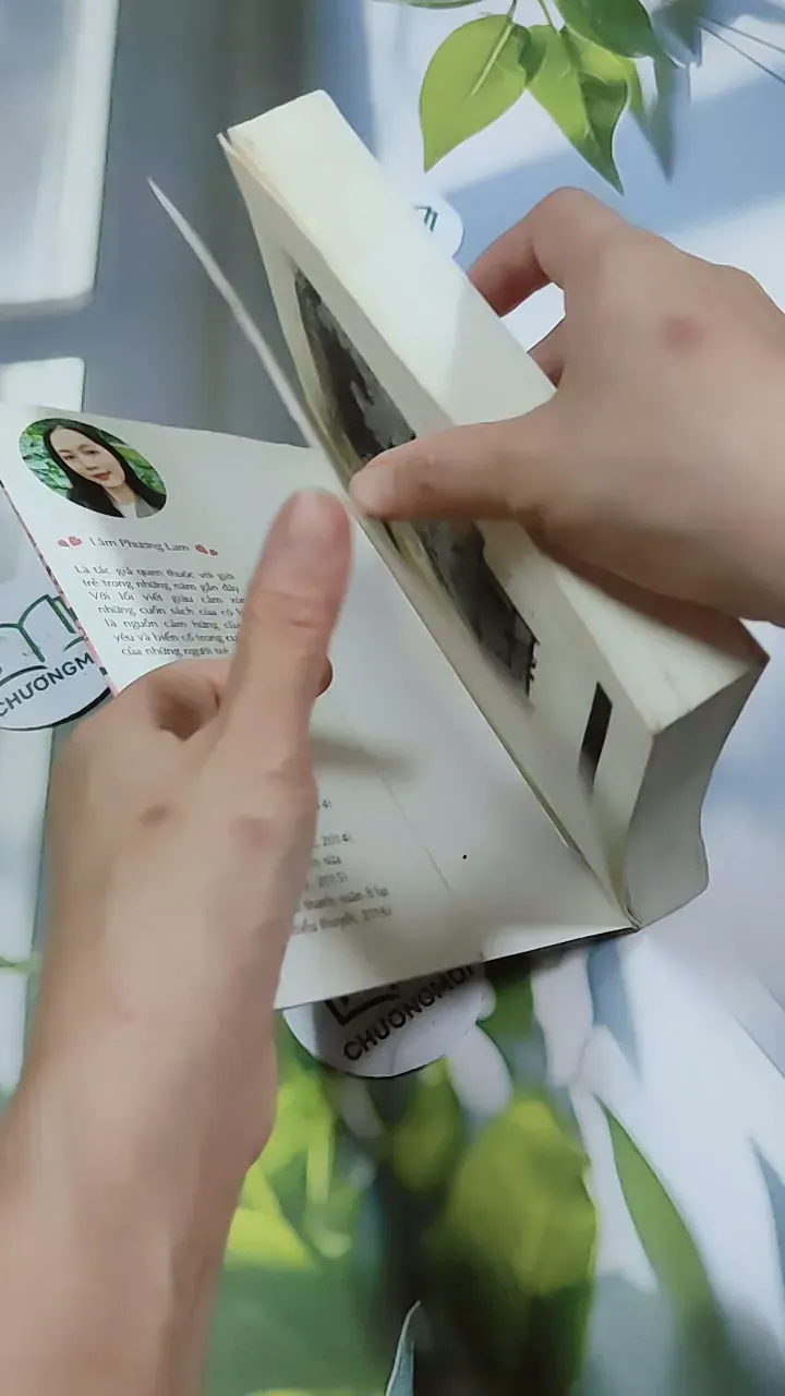 Động Lòng Sẽ Đau Lòng - Lâm Phương Lam 744735